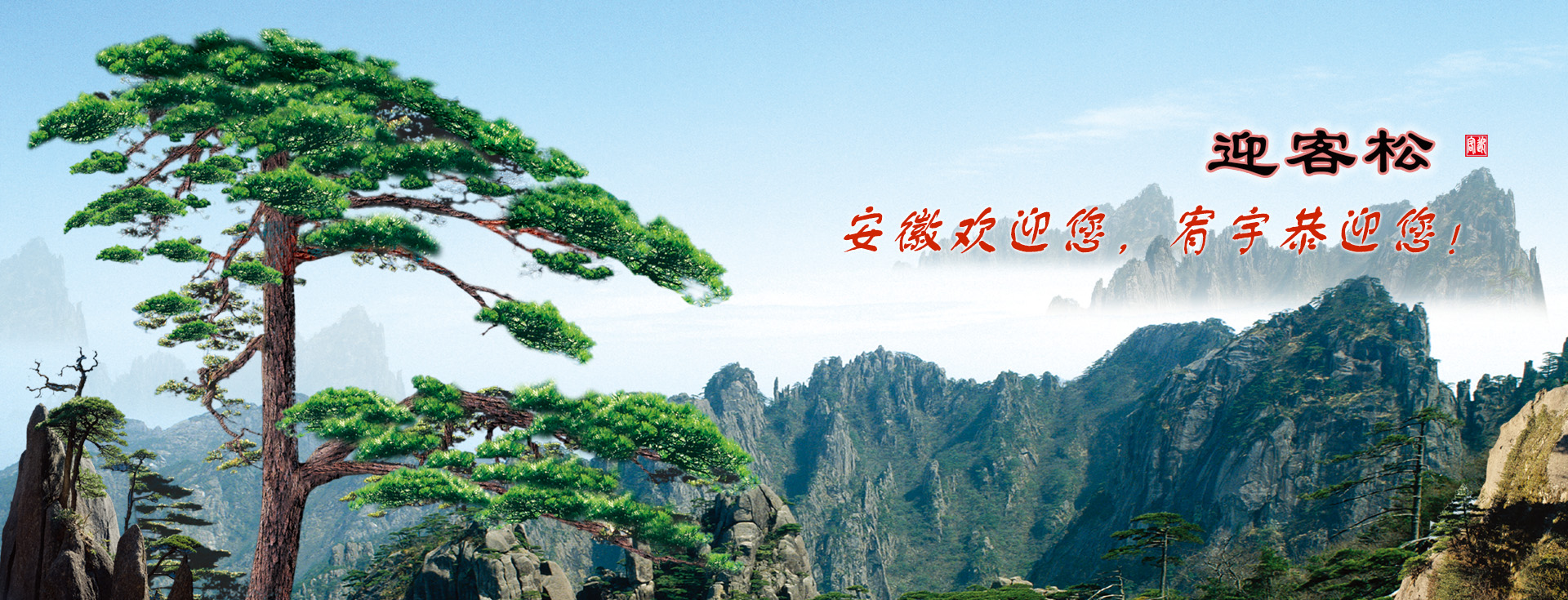 联系我们