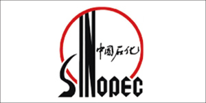 中国神华
