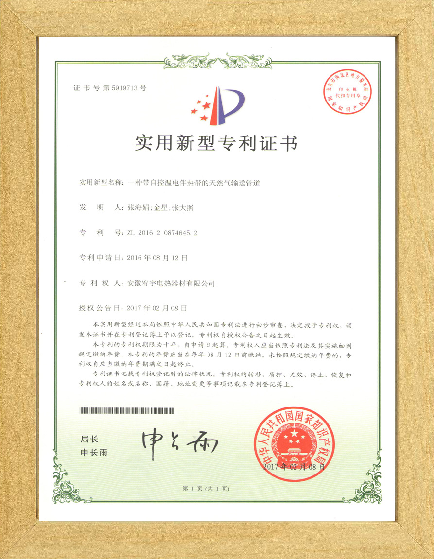 自限温天然气专利证书