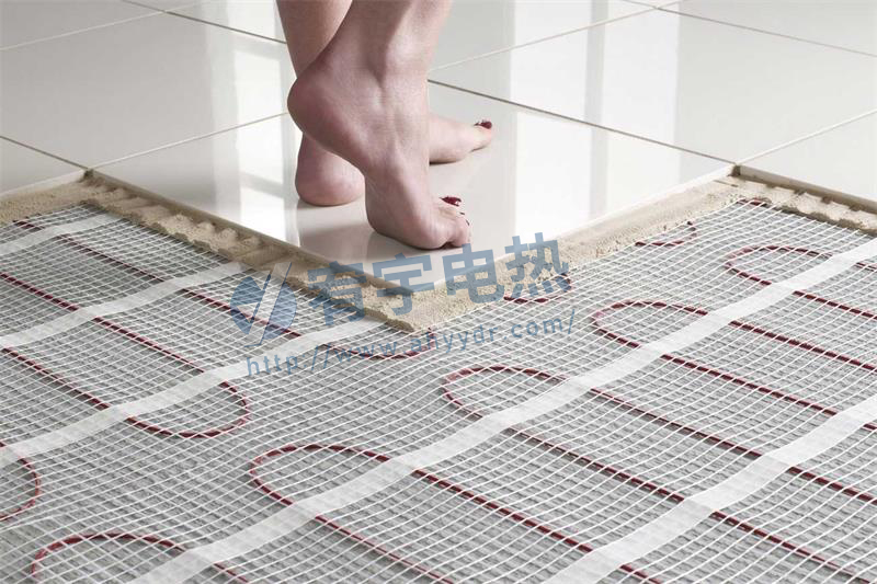 发热地席